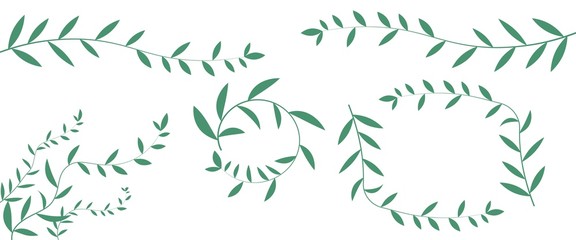 decorative natural elements and frames, green branches with small leaves vector illustration isolated on white background