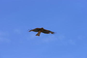 上空から狙う