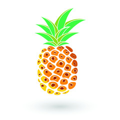 Pineapple fruit. Summer fruits for a healthy lifestyle. Vector illustration isolated on white.