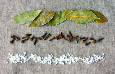 Sea salt, bay leaf, cloves on a dark background  