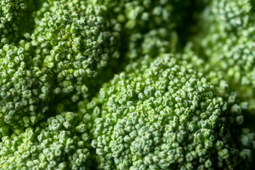 broccoli head macro background image
