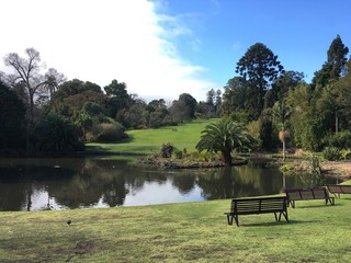 Obraz premium Botanic Garden