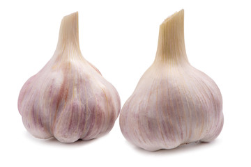 Fresh young garlic isolated on white background