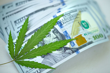 Cannabis leaf lies on top of American one hundred dollar bills, close up. Money from marijuana,...