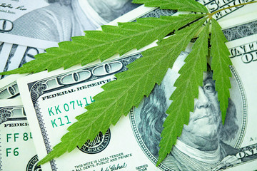 Concept of income from marijuana and the medical industry, the economy of the hemp industry. American dollar on cannabis leaf. Taxation and marijuana, weed tax