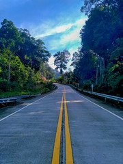 Empty beautiful road in the jungle in Thailand