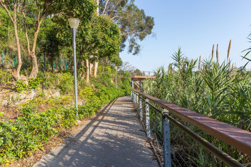 The promenade road in a park