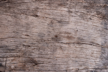 Close up Plank with old cracked patterns. for background and textureds.