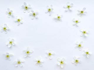beautiful little white flowers on a white background.  Women's Day, Mother's Day, Valentine's Day, Wedding, Easter.  flat lay, top view, copy space, pattern, frame.