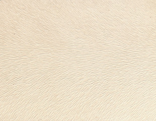 Obraz premium background texture paint coating Wallpaper paper design interior furniture square