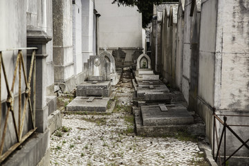Fototapeta na wymiar Cemetery with tombs