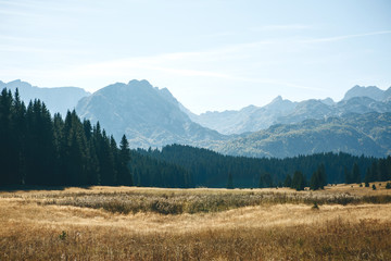 Beautiful natural autumn landscape in Montenegro. Mountains, forest and field against the blue sky.