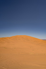 Fototapeta na wymiar panoramic view of the desert in North Africa