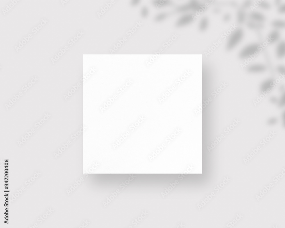 Poster empty paper photo mockup with clipping path. mockup scene. photo mockup with clipping path.