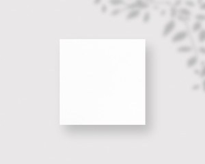 Empty paper photo mockup with clipping path. Mockup scene. Photo mockup with clipping path.