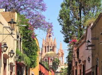 Naklejka premium Piękny widok na ulicę San Miguel de Allende z kwitnącym drzewem jacaranda.