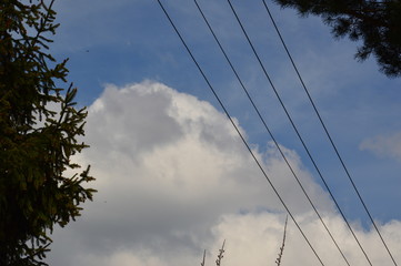 Fototapeta premium clouds