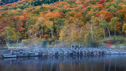 Autumn - Saco River spillway at Willey House off Crawford Notch Road in the White Mountains of New Hampshire