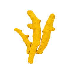 Dry turmeric roots isolated on white background.