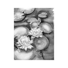 Aquarelle painting of beautiful water lily flower sketch art illustration