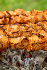 pork meat cooked on hot coals on nature, closeup