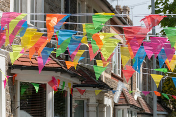 Bright Bunting