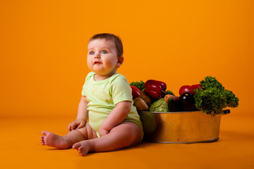 baby boy sits next to the pelvis with fresh vegetables on a yellow background, space for text. concept of eco-friendly farm products