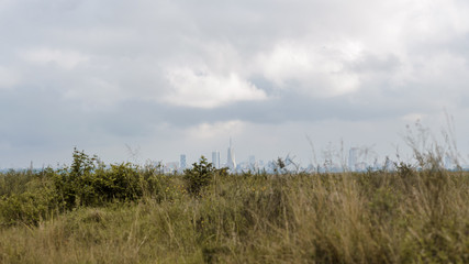 Nairobi National Park