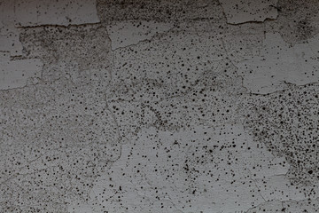  gray concrete wall. background for design