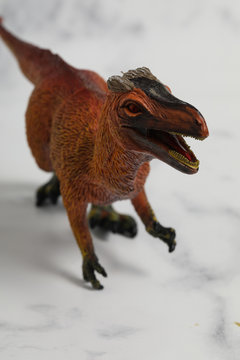 feather Velociraptor on white background. Prehistoric predator
