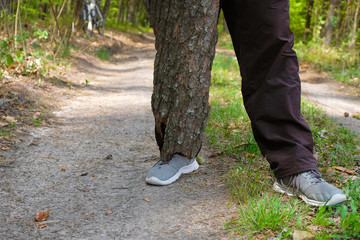 A man's leg is wrapped in pine bark like plaster. Forest background. Copy space.