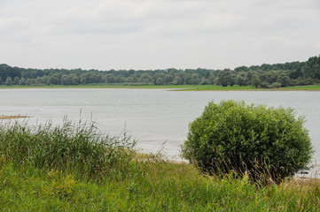 Shore of the reservoir Lac d'Orient in France