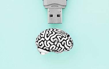 Flat lay of a detailed miniature copy of human brain and a USB interface of a flash drive isolated on a light-blue background. Data compression, storage and transfer concept.