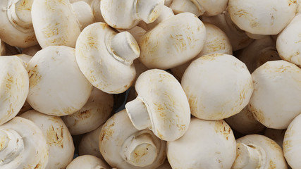 mushrooms in a market