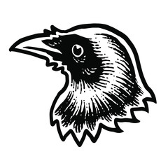 Crow head Vector design illustration