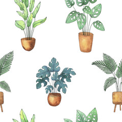 Urban Jungle.  Watercolor hand drawn collection pattern of isolated elements tropical plants in pots in sketch and doodle style on white background