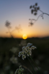 Atardecer