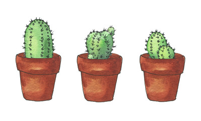 Urban Jungle. Watercolor hand drawn illustration of isolated cactus in pot in sketch and doodle style on white background