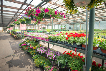 Greenhouse