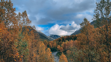Fototapeta premium autumn in the mountains