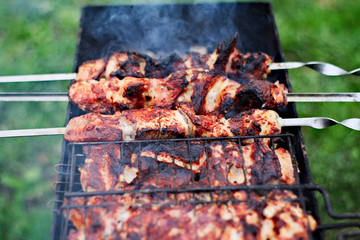 grilled meat on the grill
