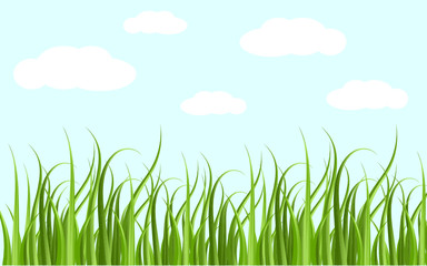 Beautiful green grass leaves. Isolated in white clouds and blue sky background. Vector Illustration.