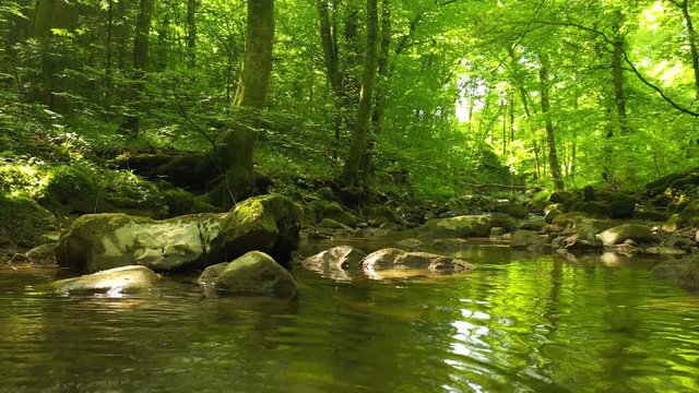 Beautiful reflection on the green  forest stream full of mossy rocks.