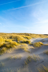 Dunes in the morning sunlight. Grasses grow on the hilltops. In the blue sky, white clouds move to the sea. Beach in the netherlands near the island texel.