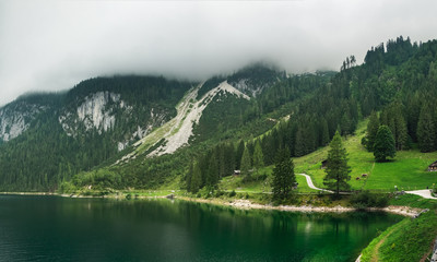Naklejka na ściany i meble Austrian Alps, Gosauseen or Vorderer Gosausee lake in Austria, Europe. Foggy mountain summer landscape with evergreen forest on the slopes and cows grazing on lush green grass