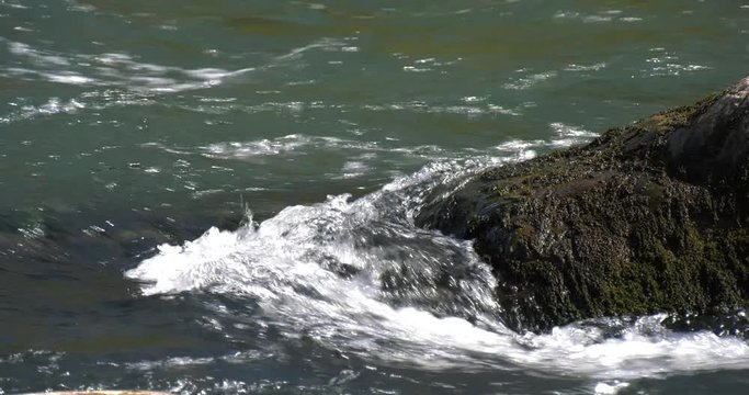 river water flows fast on the stones with sound