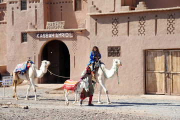Africa , Morocco ,Kasbah Amridil, January 2020 -  Ouled Yaacoub, Skoura - Camels and tourist...