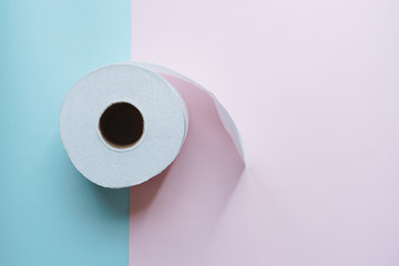 Roll of toilet paper on a pastel pink and blue background coronavirus design