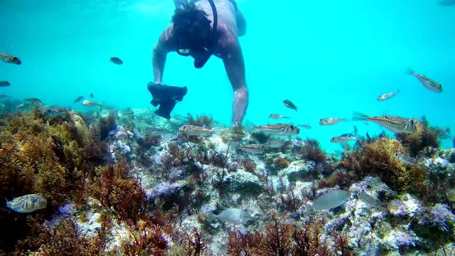 Photographer using camera in waterproof box to make photos and video underwater
