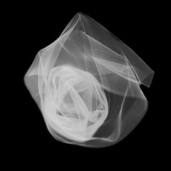 White veil